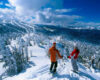Exotic Holiday in Shimla Manali bangalore to kullu manali tour packages