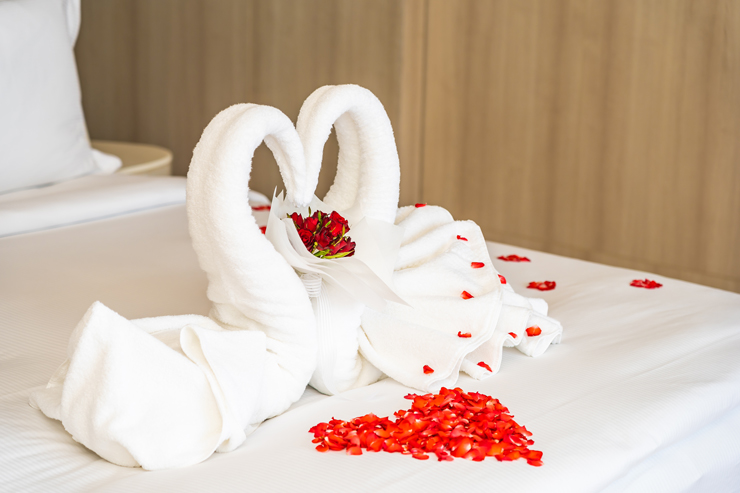 Kullu Manali honeymoon Packages